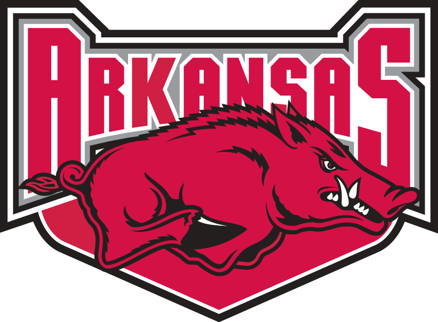 Arkansas Razorbacks 2001-2008 Alternate Logo diy fabric transfer